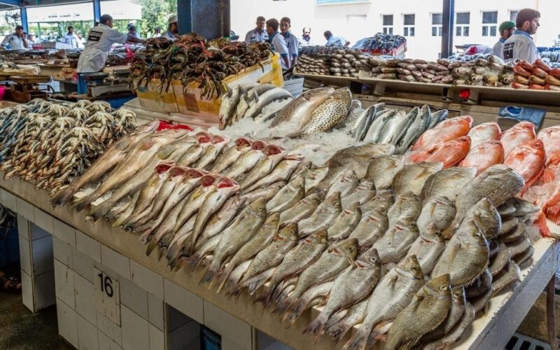 اسعار السمك اليوم  الأحد الموافق 26 مايو 2024 داخل سوق العبور