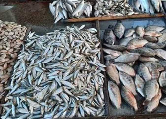 اسعار السمك اليوم 25 مايو 2024 في سوق العبور