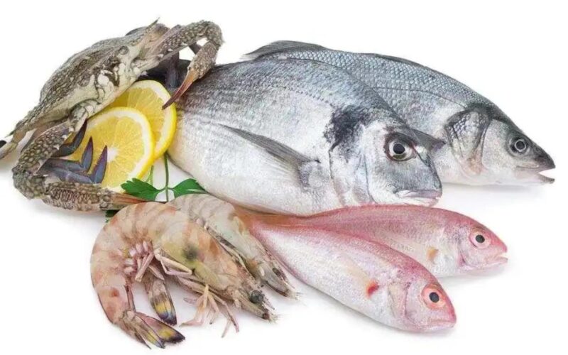 “البلطي ب50” اسعار السمك اليوم الأحد 19 مايو 2024 للمستهلك في سوق العبور