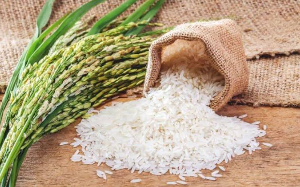 أستقرار..سعر طن الأرز الشعير اليوم السبت 18 مايو 2024 في الأسواق المحلية