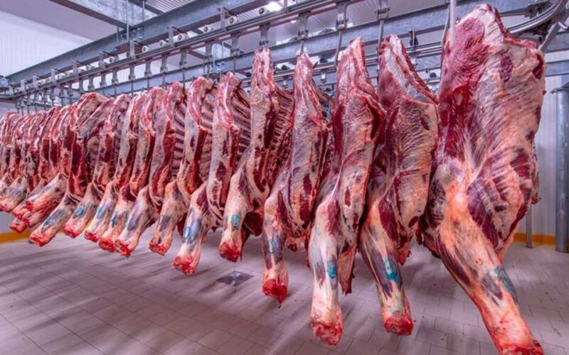 اسعار اللحوم اليوم الأحد 26 مايو 2024 في وزارة التموين و في منافذ وزارة الزراعة