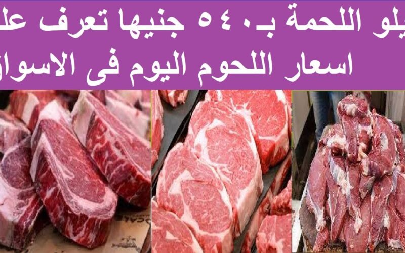 ” الضاني والجملي ” اسعار اللحوم اليوم الجمعة 24 مايو 2024 للمستهلك