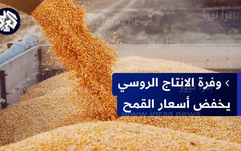 القمح بكام ؟ .. سعر طن القمح اليوم الخميس 16 مايو 2024 للمستهلك في جميع الاسواق