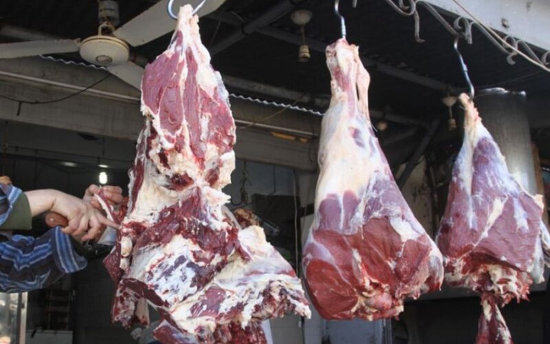 اسعار اللحوم اليوم السبت 25 مايو 2024 داخل الأسواق المصرية