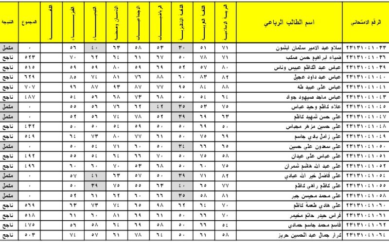 موقع نتائجنا نتائج السادس الابتدائي العراق الكرخ الثانية 2024 بالإسم والرقم الامتحاني