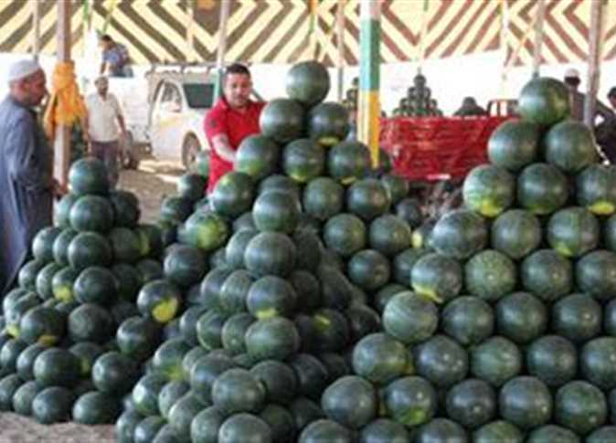 تعرف على سعر كيلو البطيخ اليوم الاربعاء 5 يونيو 2024 واسعار الفاكهة فى الاسواق