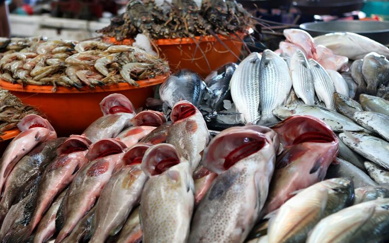 ” بكام البلطي”…اسعار السمك اليوم الاحد 2 يونيو 2024 في سوق العبور